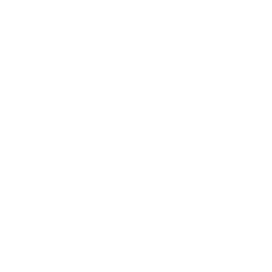 YouTube icon